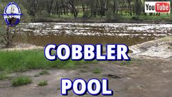 Cobbler Pool